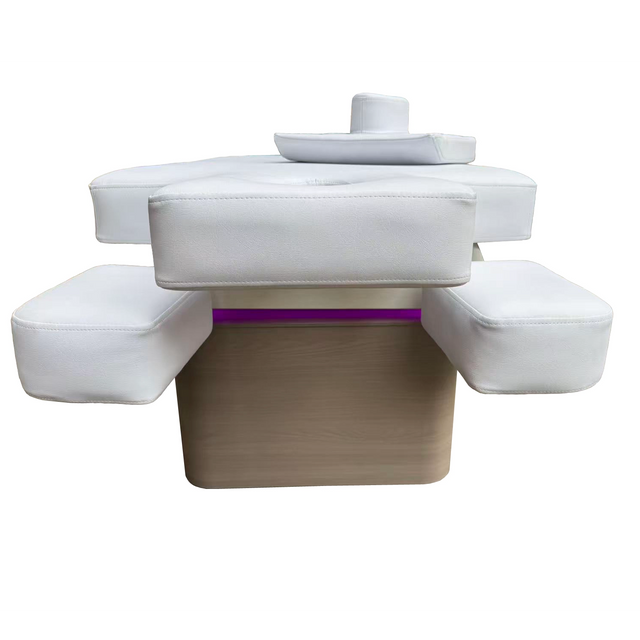 Multifunction beauty electric facial bed wholesale--CH 2E15