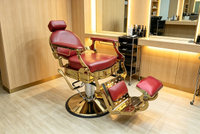 Salon Series 